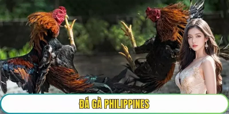 đá gà philippines