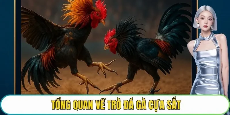Tổng quan về trò đá gà cựa sắt